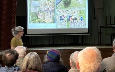 Recent Excavations at the Deserted Medieval Manor of Besselsleigh